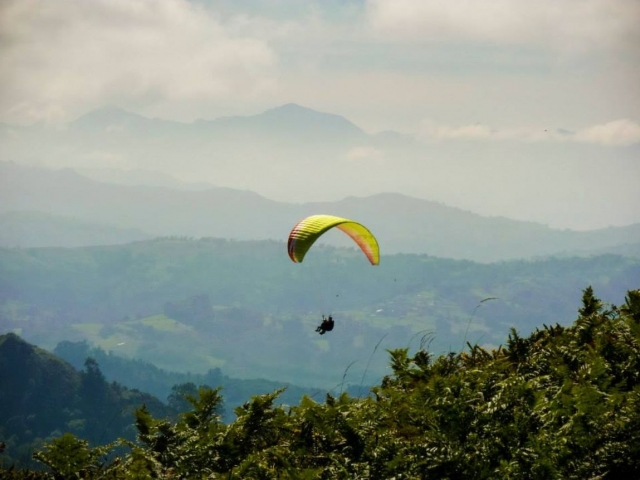  Flug über den mit Vegetation bedeckten Berg 